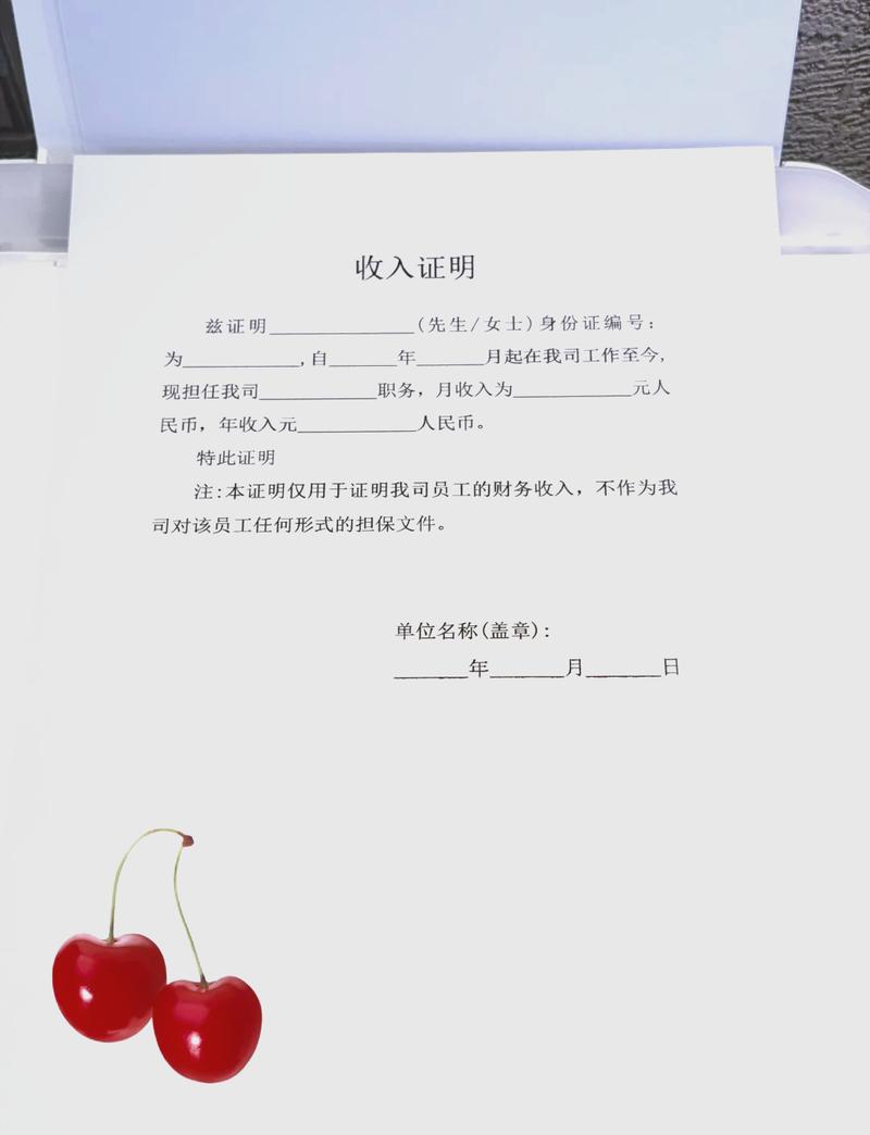 吉安代开收入证明的正确姿势：张会计的突围战